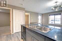 110, 15 Saddlestone Way NE Calgary