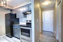 110, 15 Saddlestone Way NE Calgary