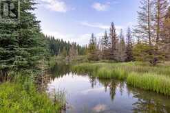 Limpkin Flats Twp Rd 355 Rural Clearwater