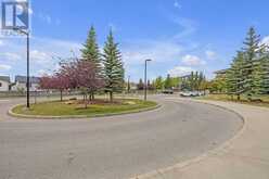 227, 69 Springborough Court SW Calgary