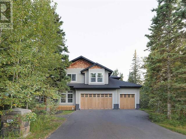 501 Hawk's Nest Lane Rural Foothills Alberta