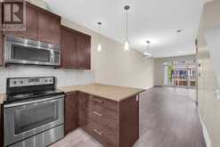 509 Skyview Ranch Grove NE Calgary