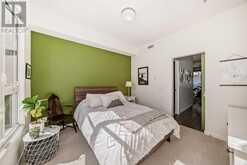 307, 1719 9A Street SW Calgary