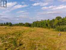 40 acres Range Road 44 Rural Mountain View