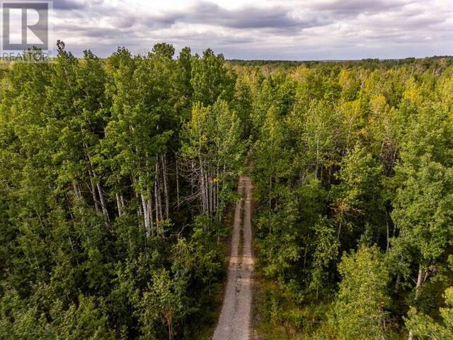 40 acres Range Road 44 Rural Mountain View Alberta