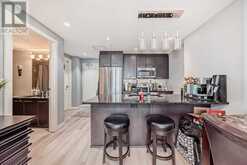 1408, 225 11 Avenue SE Calgary