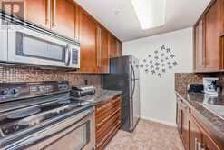 209, 790 Kingsmere Crescent SW Calgary