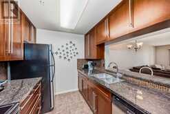 209, 790 Kingsmere Crescent SW Calgary