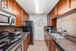 209, 790 Kingsmere Crescent SW Calgary