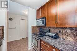 209, 790 Kingsmere Crescent SW Calgary