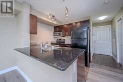 309, 355 TARALAKE Way NE Calgary