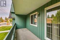 8203, 315 Southampton Drive SW Calgary