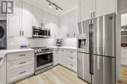 203, 59 22 Avenue SW Calgary