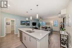 104, 30 Mahogany Mews SE Calgary