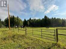 78 Acres Range Road 52 Rural Mountain View