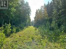 78 Acres Range Road 52 Rural Mountain View