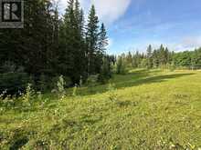 78 Acres Range Road 52 Rural Mountain View