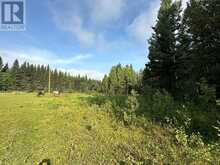 78 Acres Range Road 52 Rural Mountain View