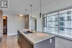 2607, 1122 3 Street SE Calgary