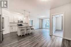 4207, 522 Cranford Drive SE Calgary