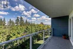 202, 312 Cedar Crescent SW Calgary