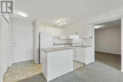 409, 1717 60 Street SE Calgary