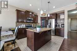 545 Saddlelake Drive NE Calgary