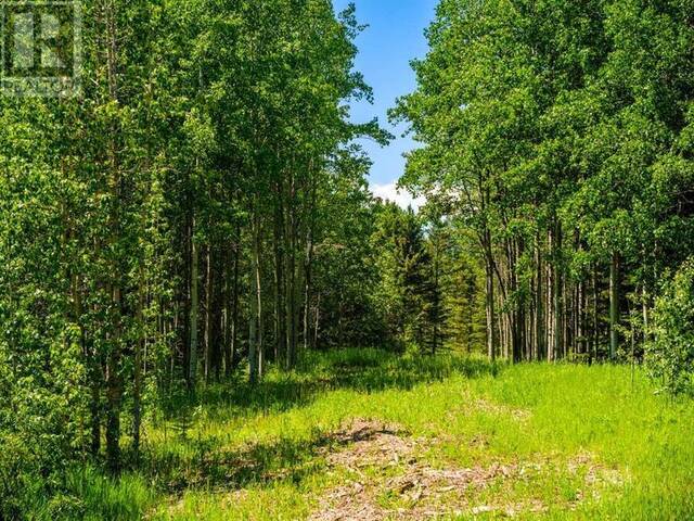 Water Valley Rural Mountain View Alberta