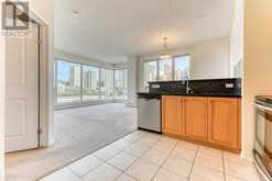 502, 1053 10 Street SW Calgary