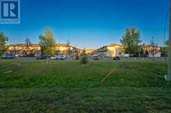 260 Saddlebrook Point NE Calgary