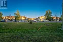 260 Saddlebrook Point NE Calgary