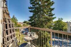 301, 2317 17A Street SW Calgary