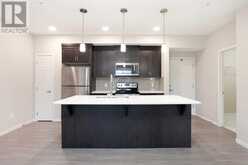 236, 20 Seton Park SE Calgary