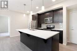 236, 20 Seton Park SE Calgary