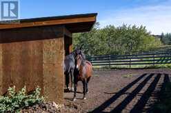 30124 Bunny Hollow Drive Rural Rocky View