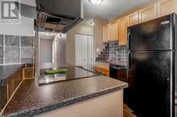 301, 1312 13 Avenue SW Calgary