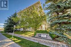 317, 260 Shawville Way SE Calgary