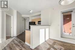 1616, 1053 10 Street SW Calgary