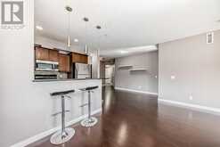 205, 509 21 Avenue SW Calgary