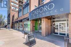 205, 509 21 Avenue SW Calgary