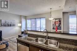 309, 1053 10 Street SW Calgary