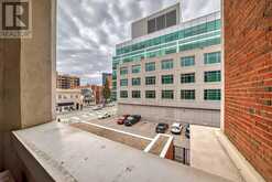 203, 1117 1 Street SW Calgary