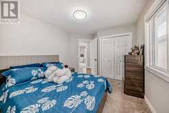 117 Saddlecrest Crescent NE Calgary