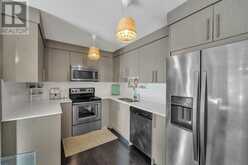 6203, 302 Skyview Ranch Drive NE Calgary