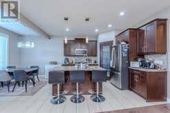 509 Saddlelake Drive NE Calgary