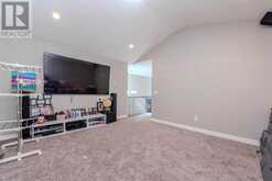 509 Saddlelake Drive NE Calgary