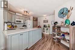 205, 735 56 Avenue SW Calgary