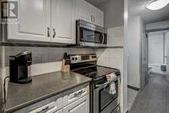 302, 540 18 Avenue SW Calgary