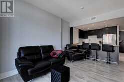 2203, 1111 10 Street SW Calgary