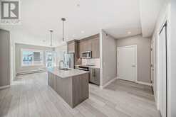 1209, 395 Skyview Parkway NE Calgary